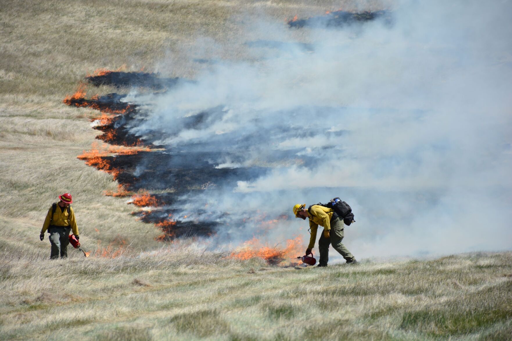 Prescribed burns